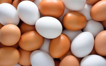 پرواز قیمت مرغ در قطب تولید کشور/ گرانی روز شمار تخم مرغ در مازندران