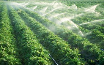 کمک بلاعوض برای اجرای سیستم نوین آبیاری به کشاورزان مازندرانی